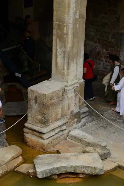 DSC_2628 (Large).JPG